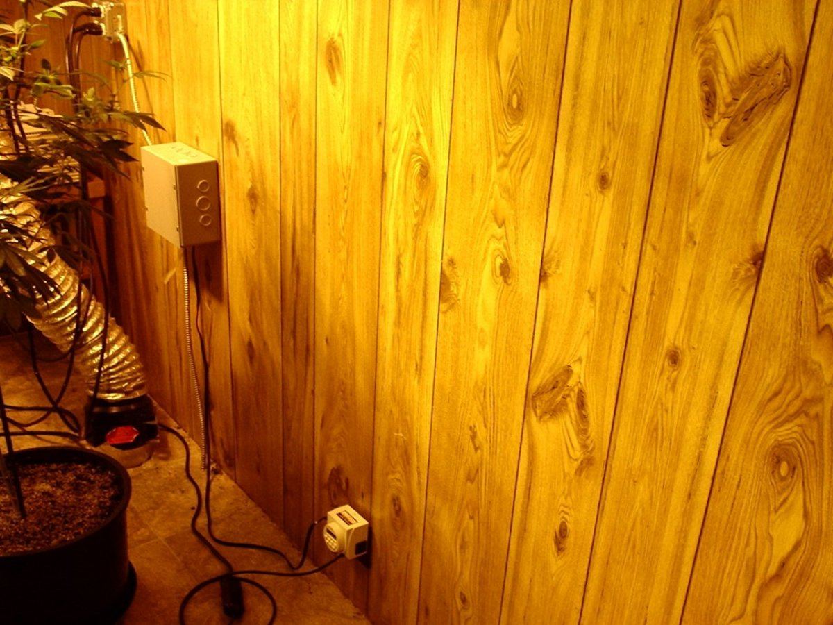 Bluzboy goes high tech with 220v and auto digital timer for lighting 2