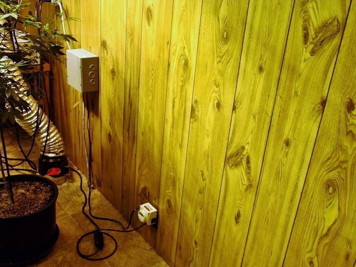 Bluzboy goes high tech with 220v and auto digital timer for lighting