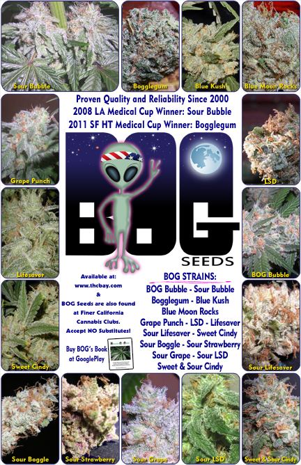 Bog seeds 2013 thcbay ad w book