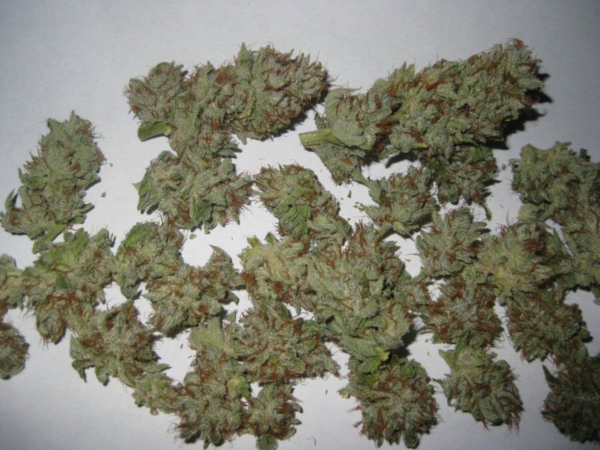Bog ssk nugs 4
