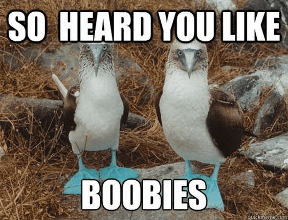 Boob memes 1