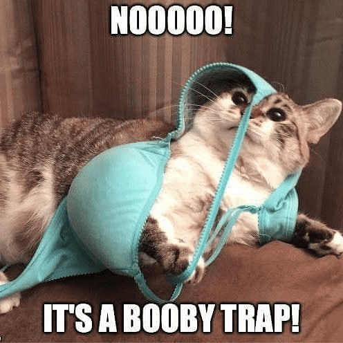 Boob memes 13