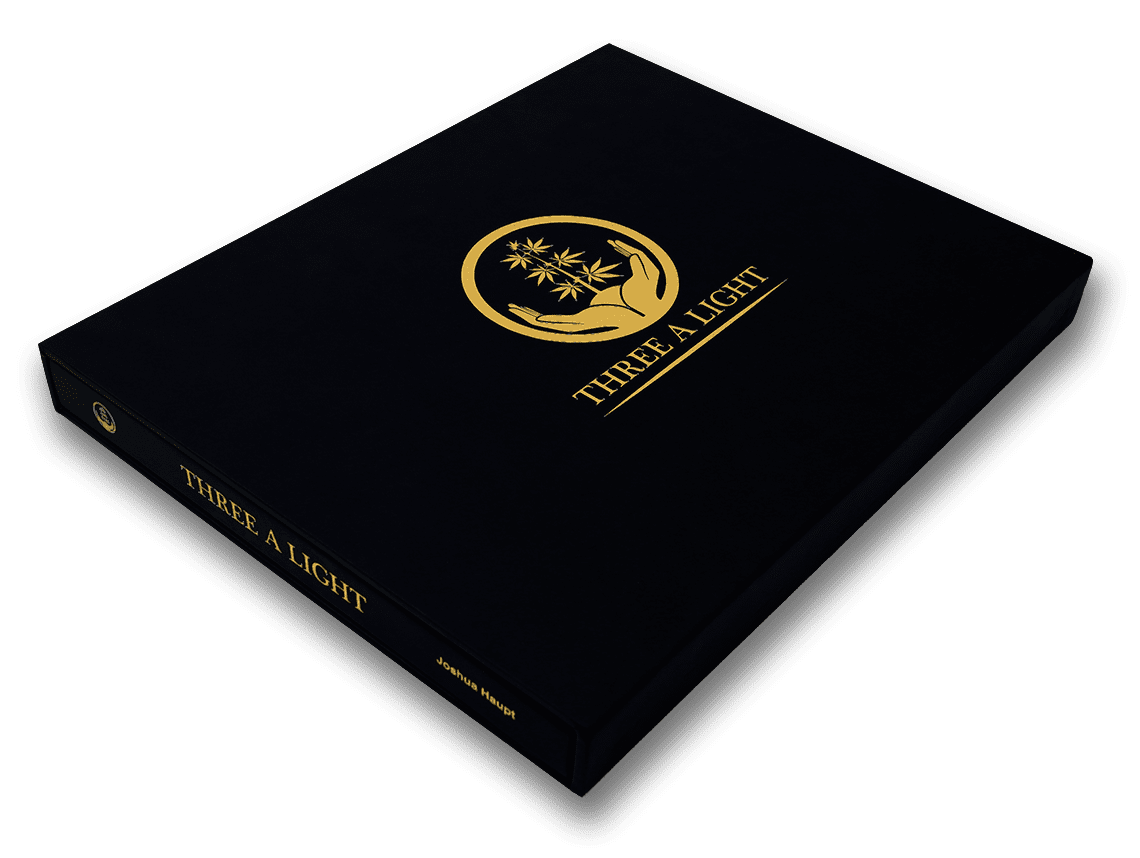 Book threealight2