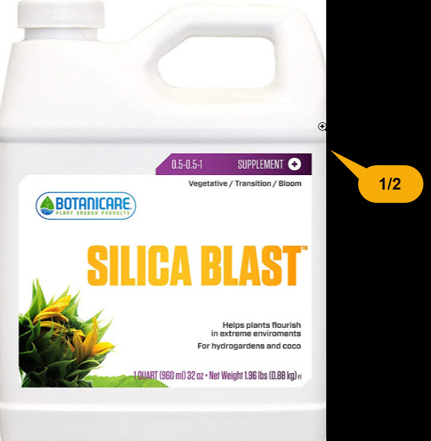 Botnicare Silica Blast  50 pct