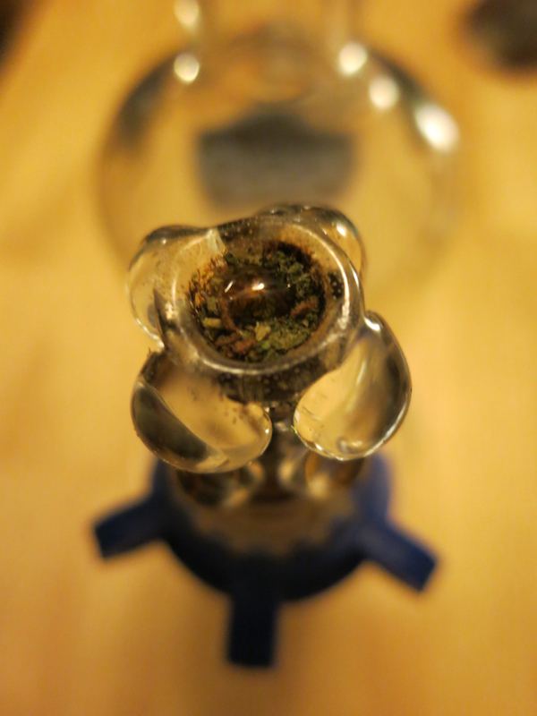 BOWL sf