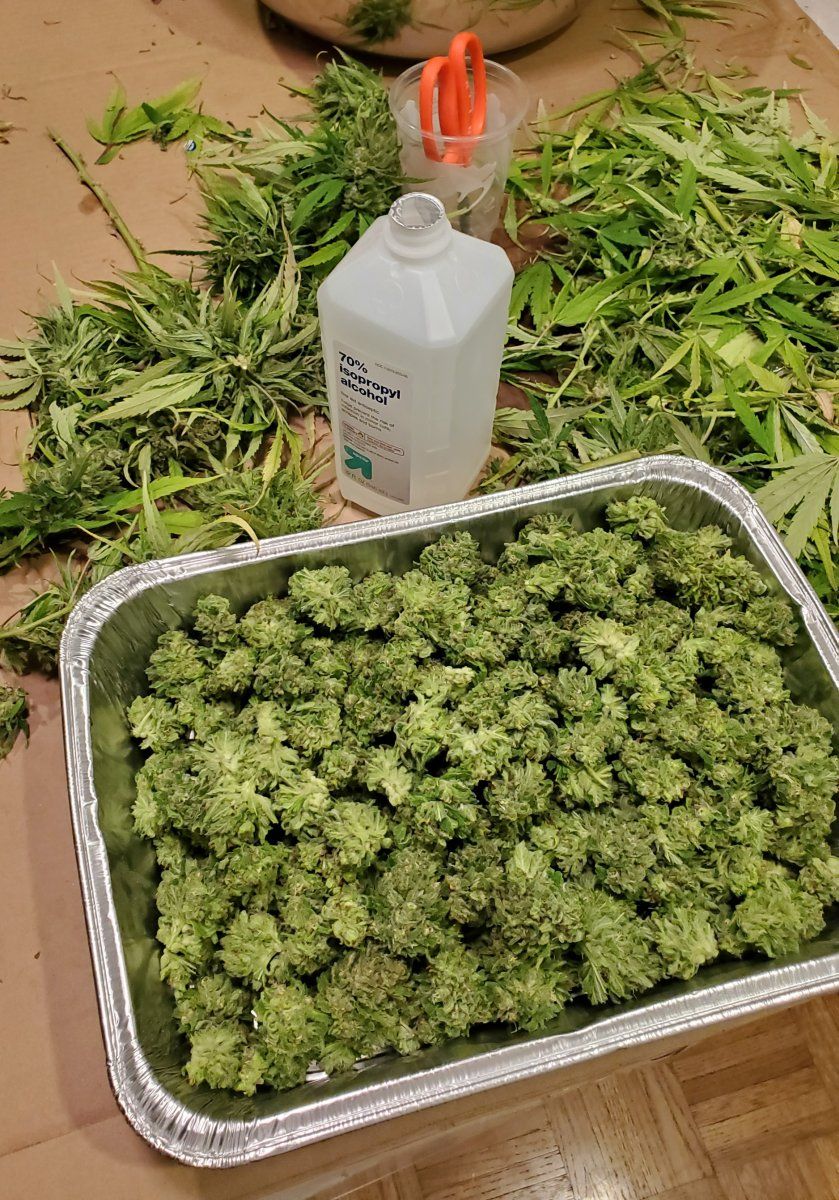 Bowl trim ssh