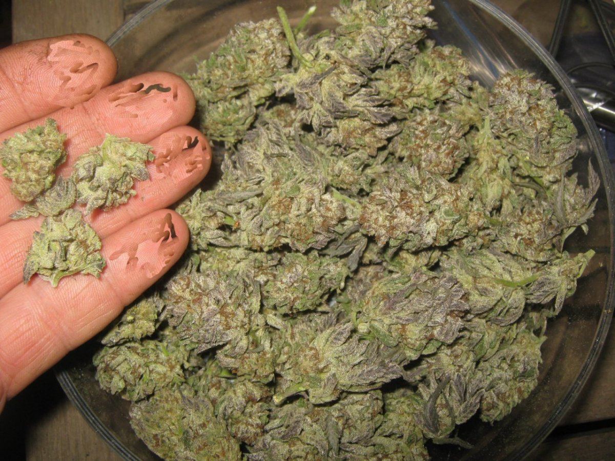Bowlofcookies55