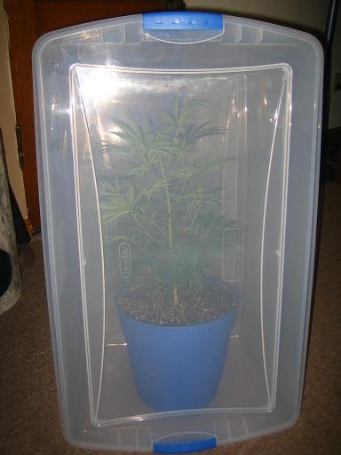 Box1