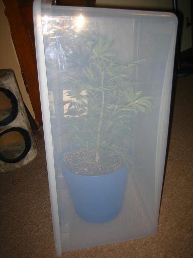 Box2
