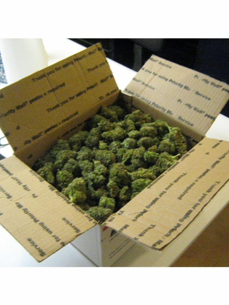 Boxofrocks