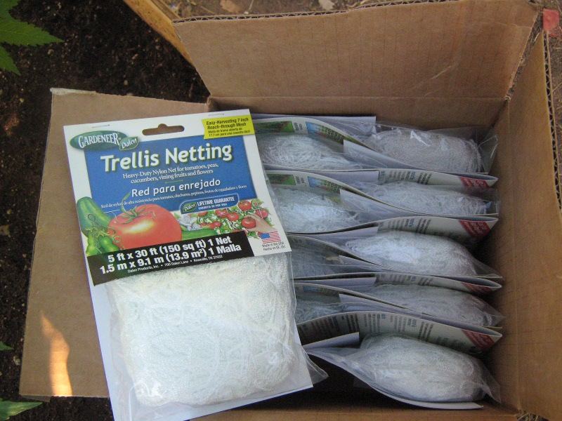 Boxonetting