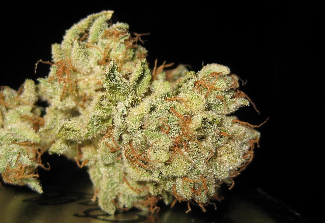 BP nug1
