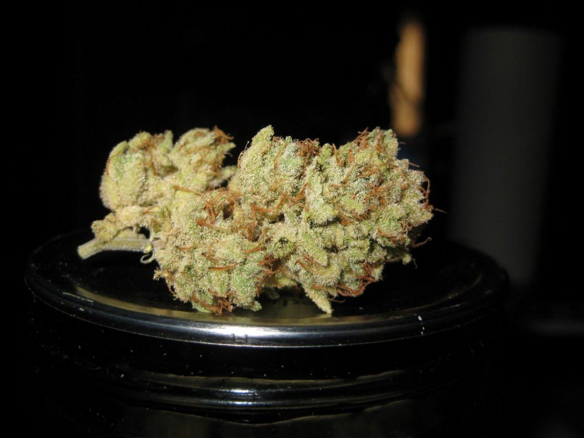 BP nug2
