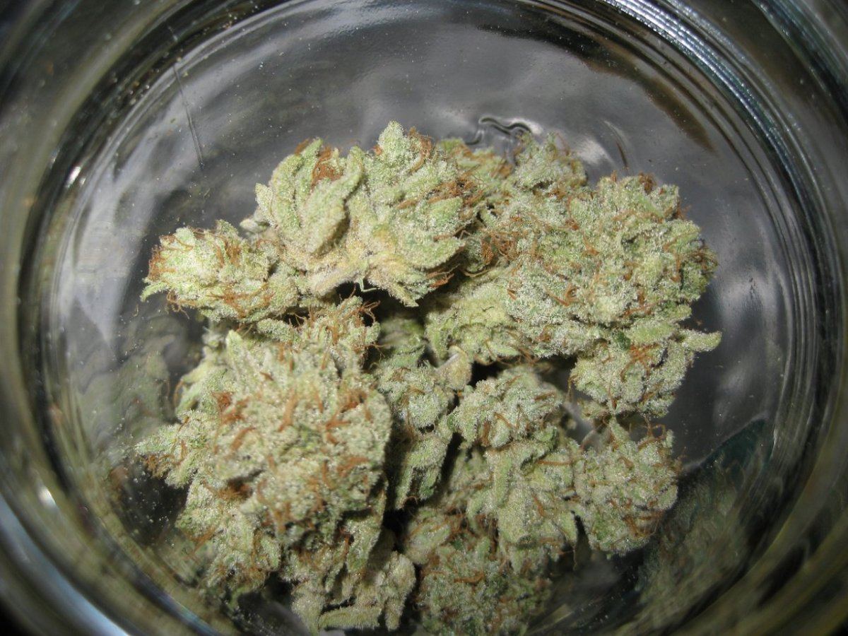 BP nug3