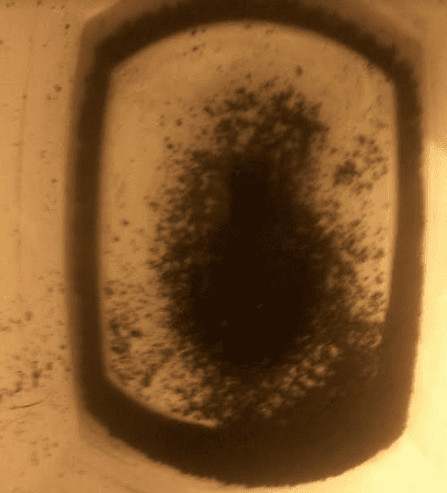 Brewbiocharsludge112417