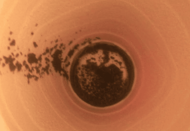 Brewbiocharsludgesolo112417