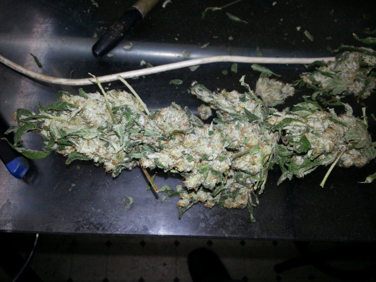BrightCookies