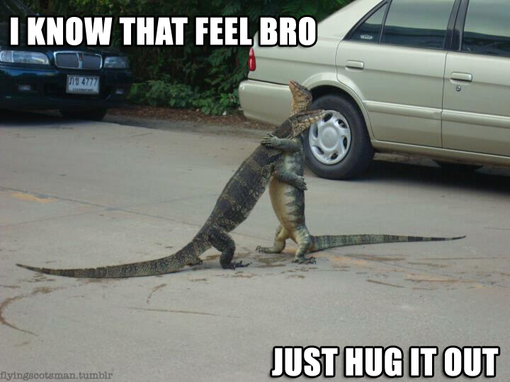 Brohug