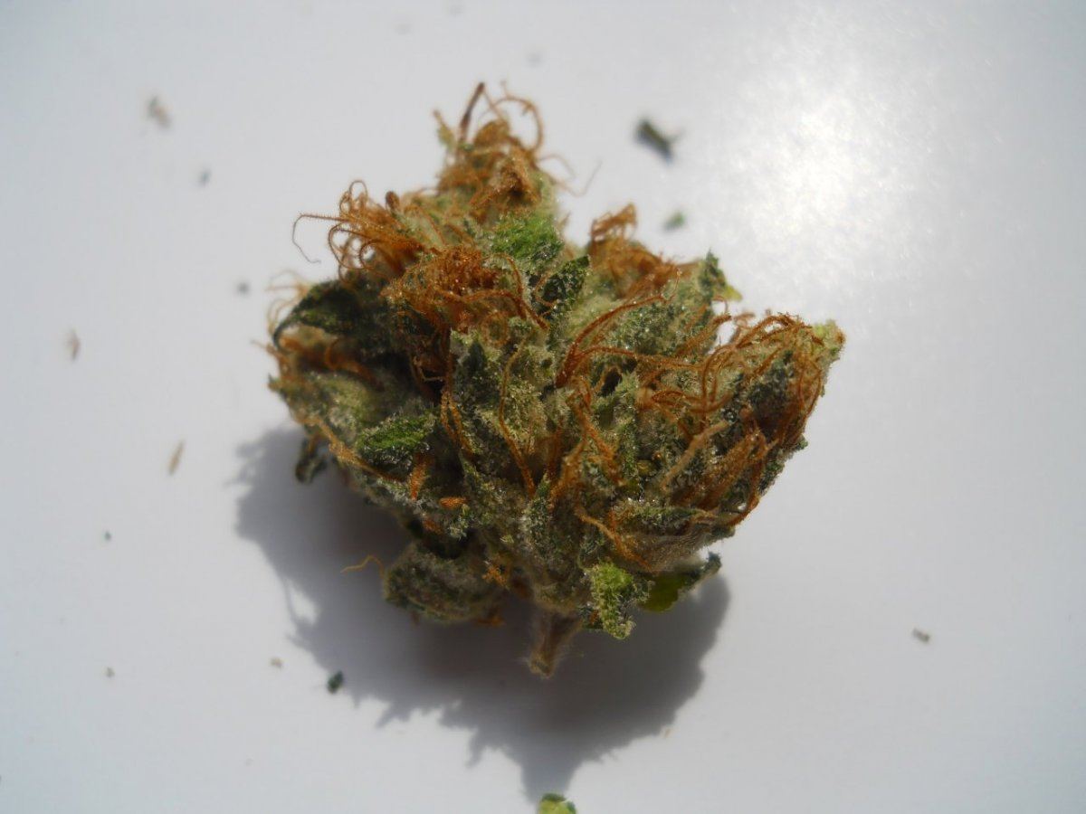Bruce banner 3
