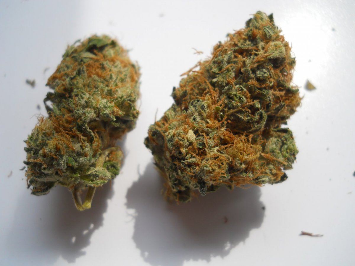 Bruce banner
