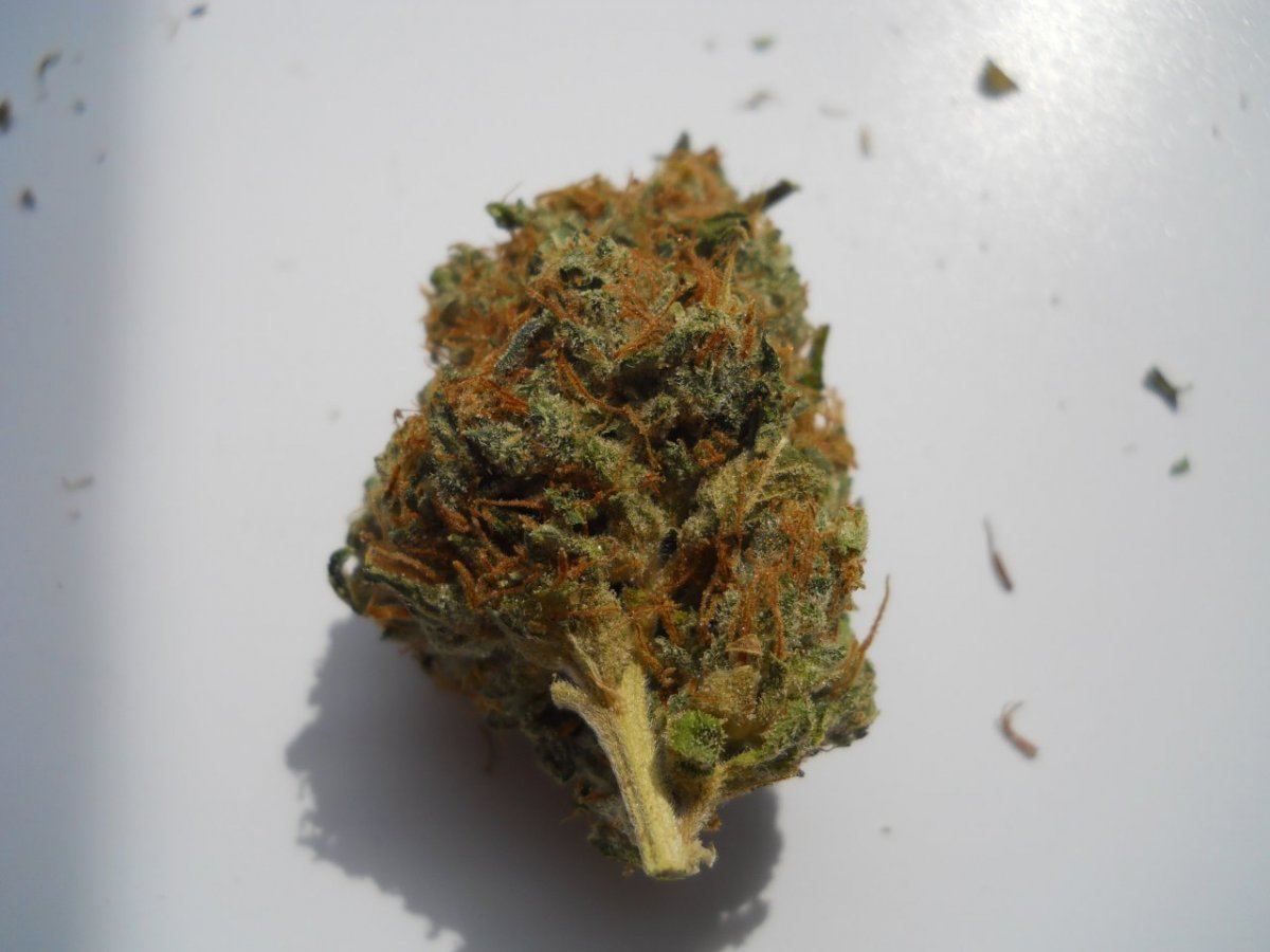 Bruce banner2