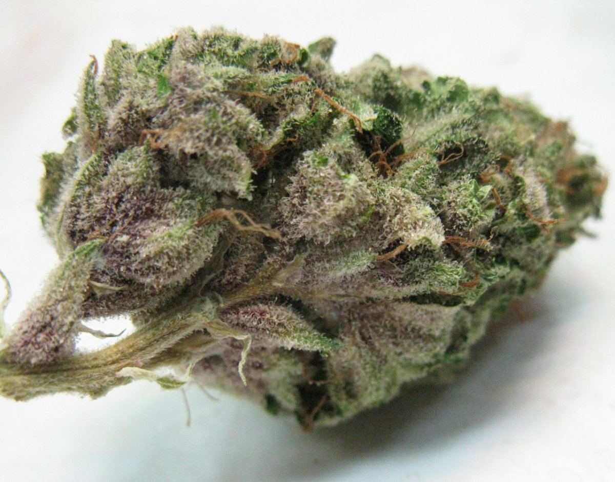 Brx1 nugz 009