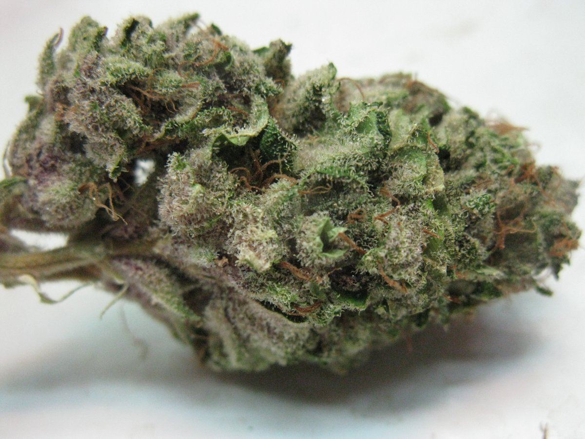 Brx1 nugz 011