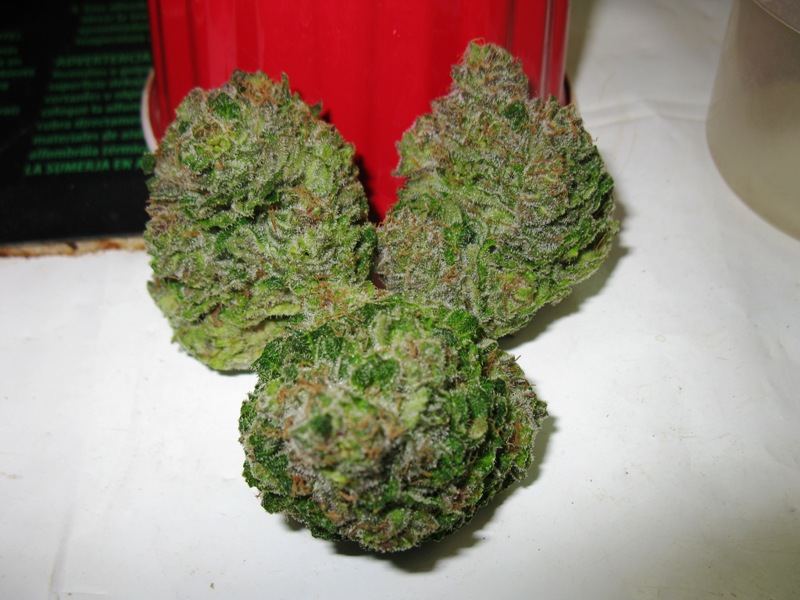 Brx3 chop 001 72