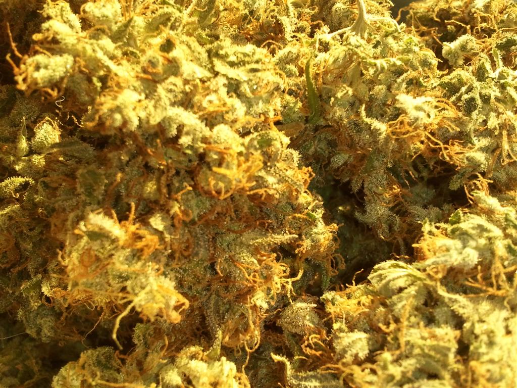 Bubba Express   Cured 1