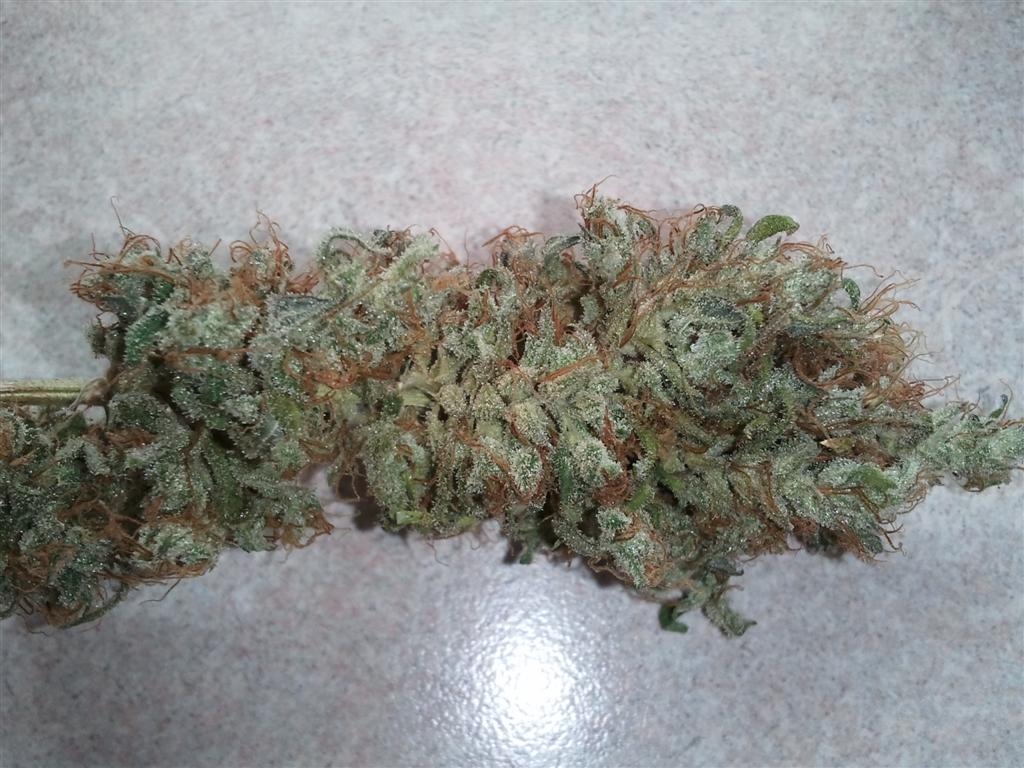 Bubba Express   Cured 2