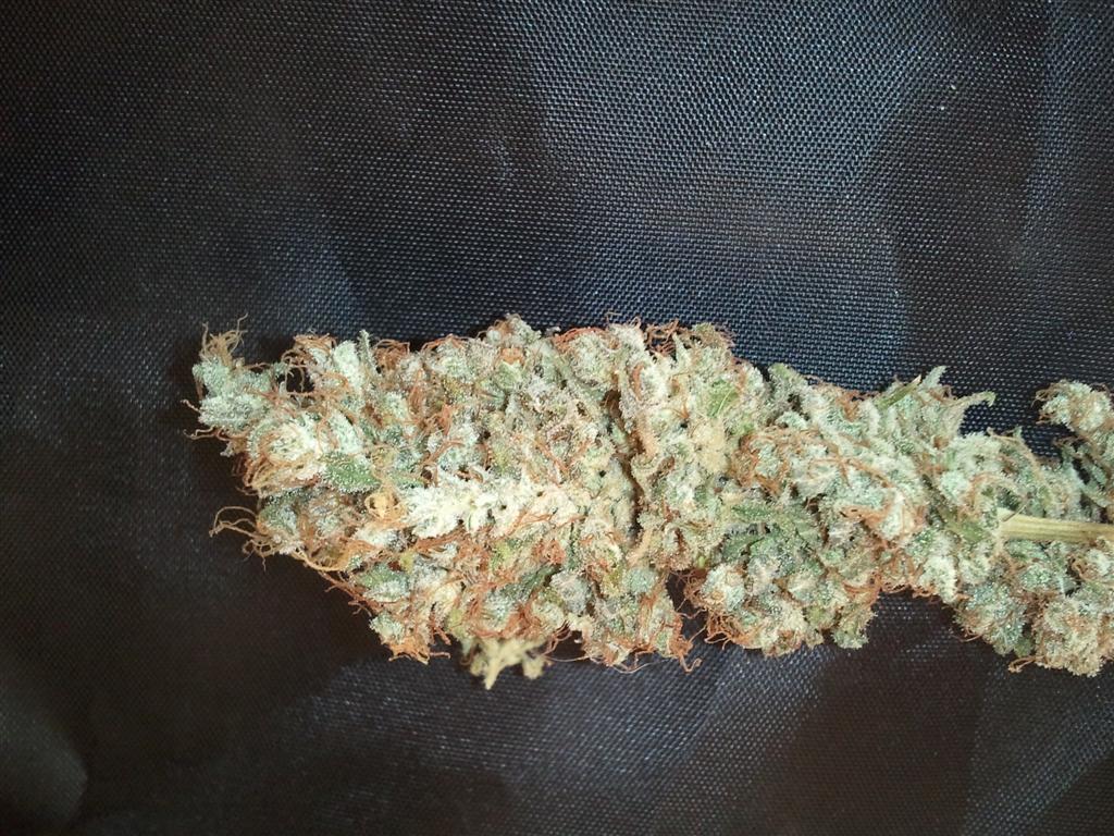 Bubba Express   Cured 3