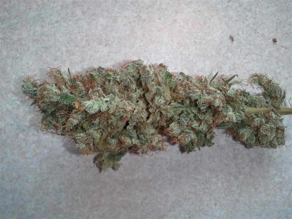 Bubba Express   Cured 4