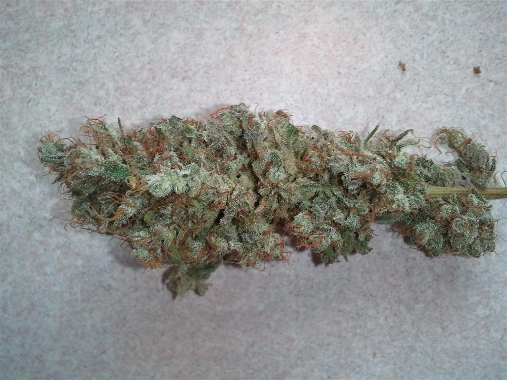 Bubba Express   Cured 4