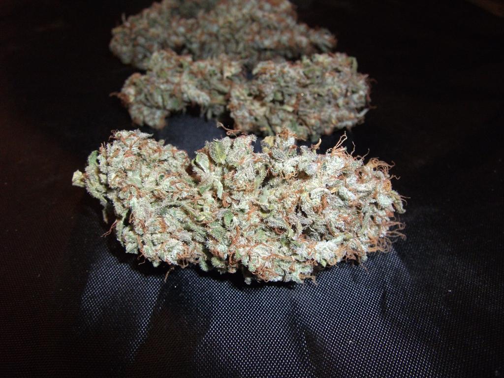 Bubba Express   Cured 7