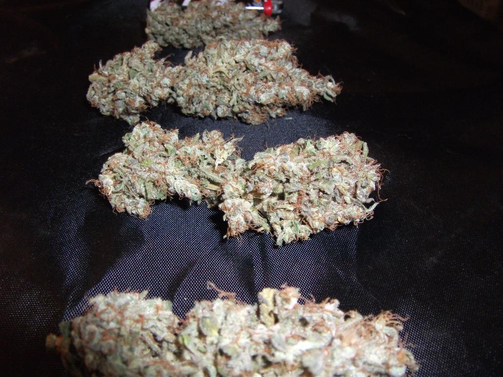 Bubba Express   Cured 8
