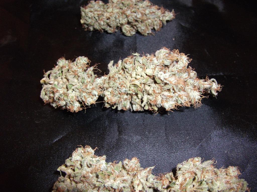 Bubba Express   Cured 9