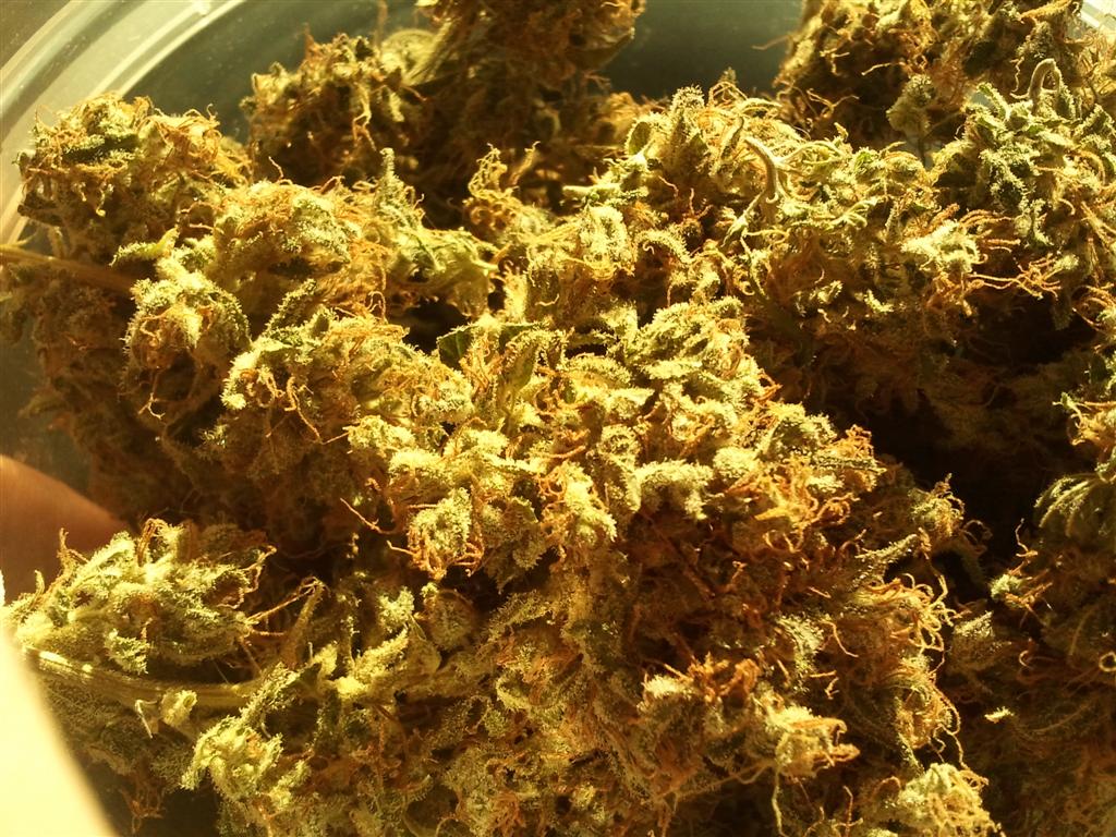 Bubba Express   Cured