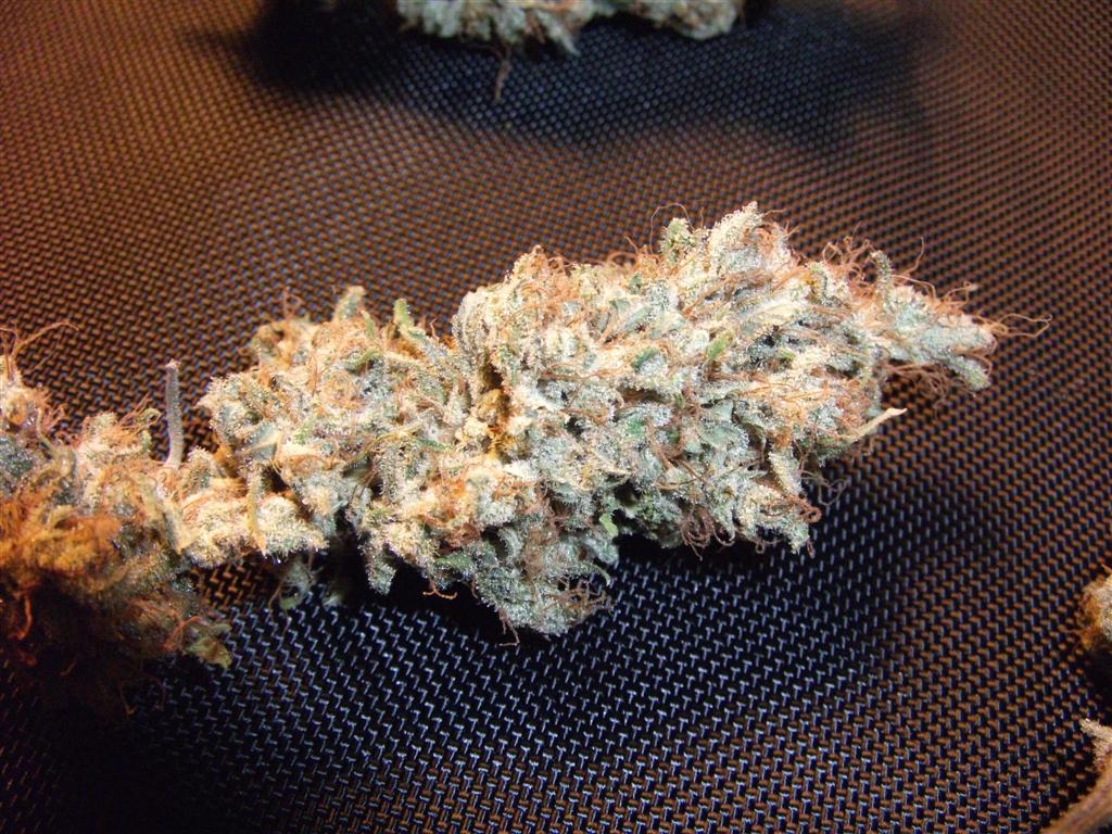 Bubba Express   Dry  About 75 days Bud 2