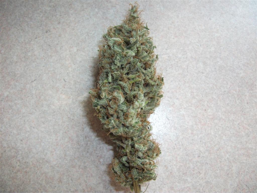 Bubba Express   Dry  About 75 days Bud 5