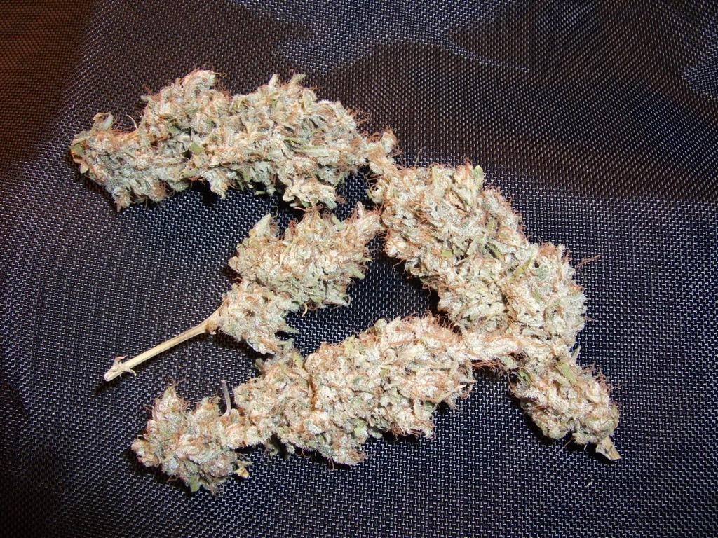 Bubba Express   Dry  About 75 days Bud
