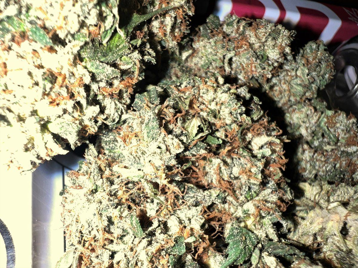 Bubba kush buds