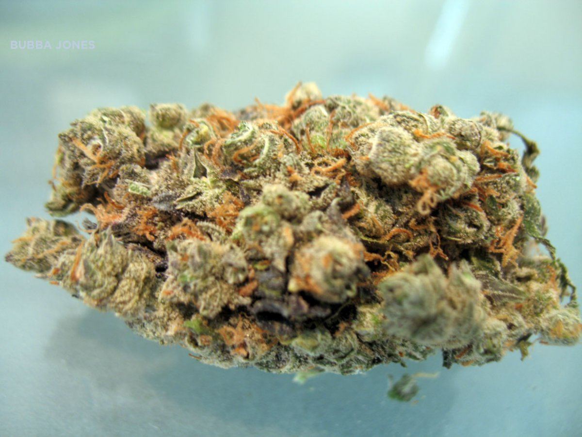 BUBBA JONES2