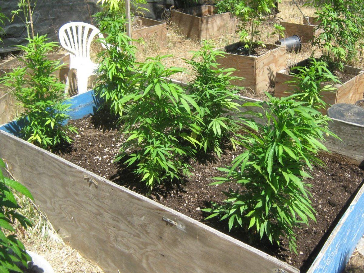 Bubbabed1 526