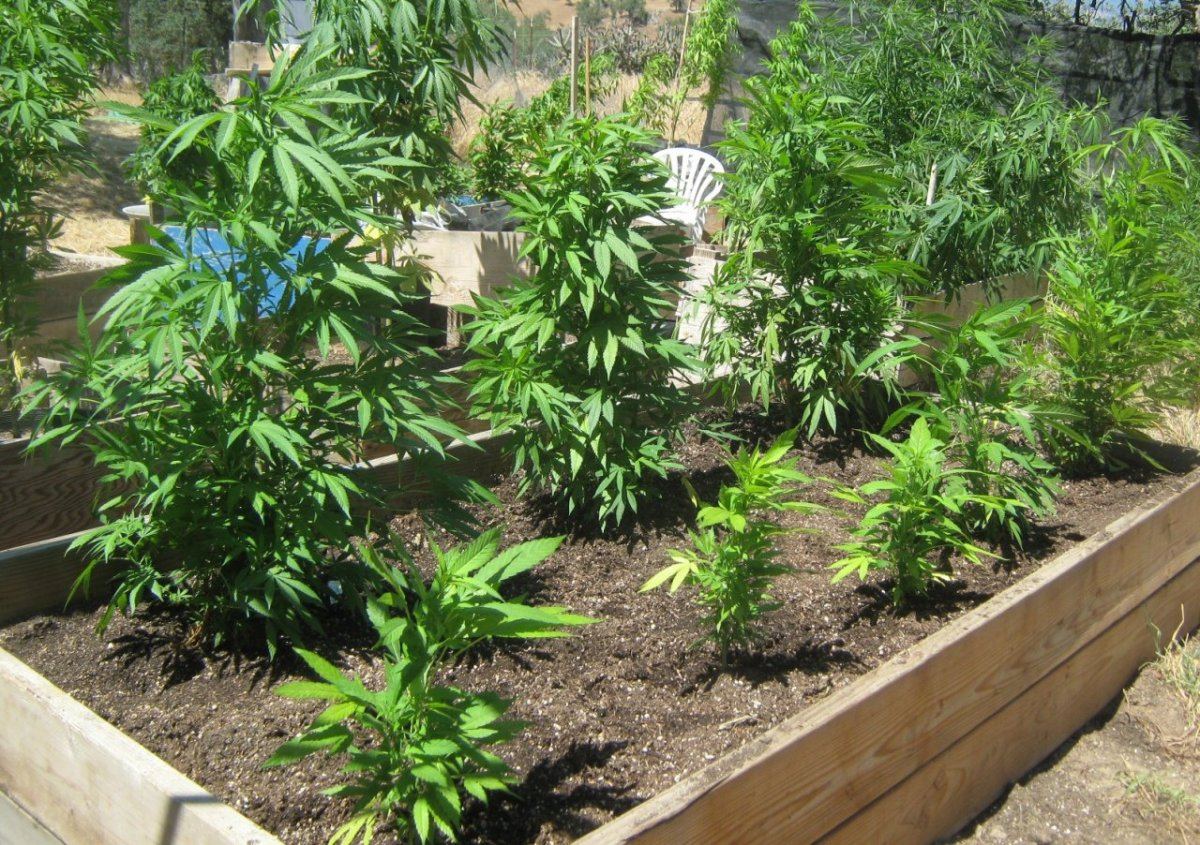 Bubbabed2 526