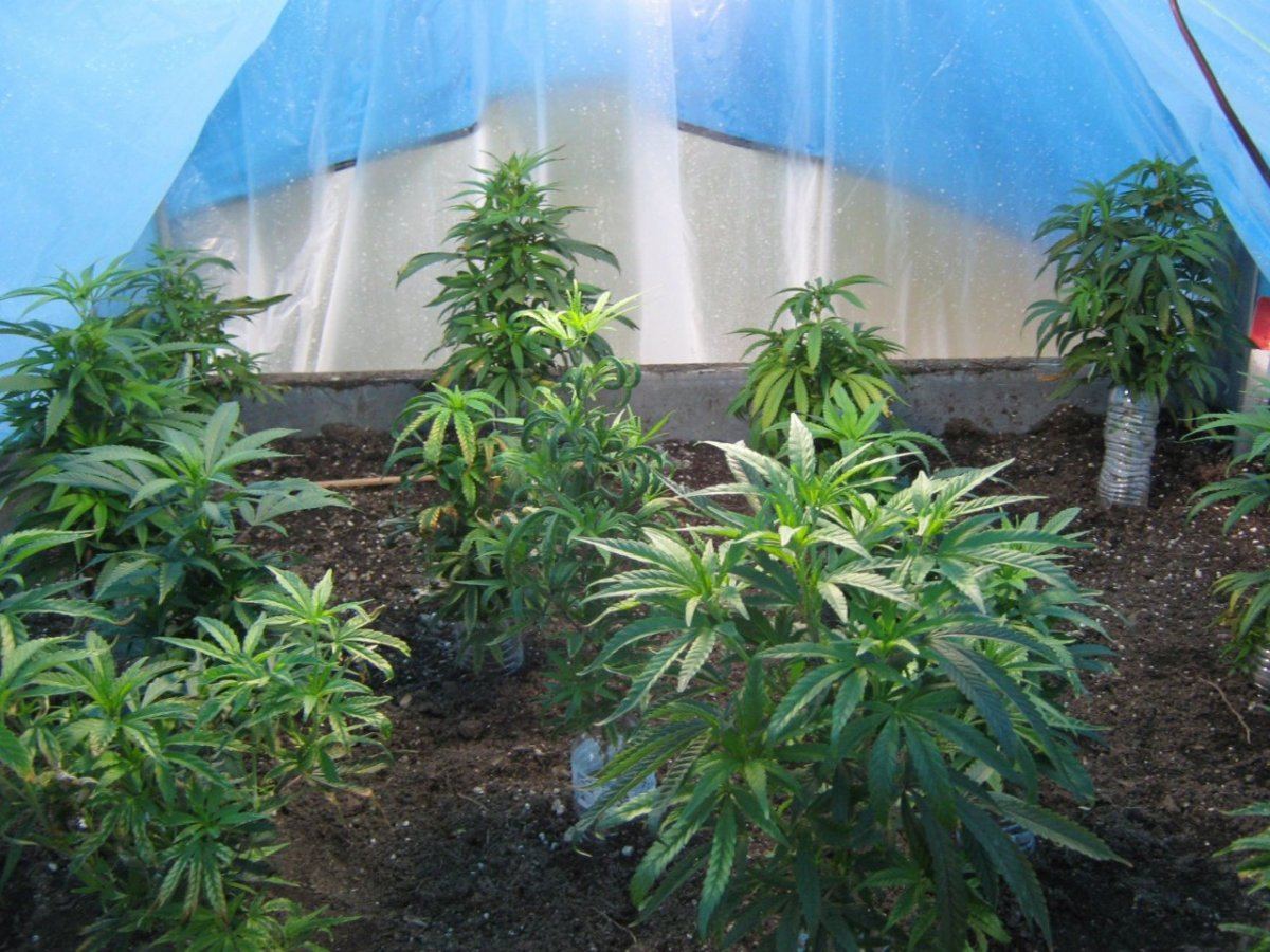 Bubbabed4 11