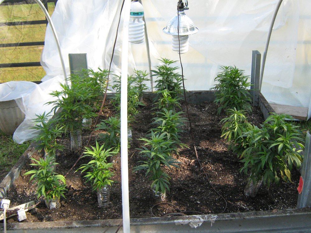 Bubbabed4 15