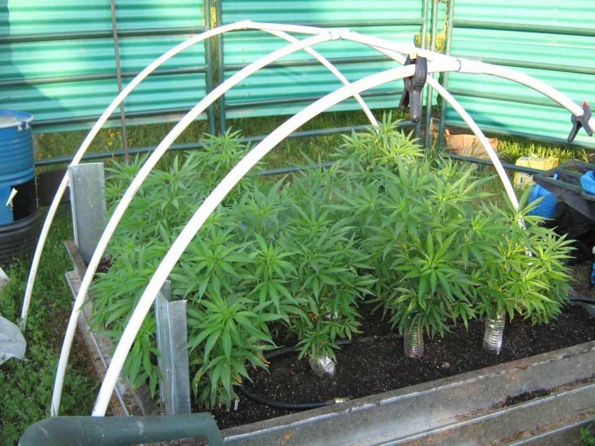 Bubbabed4 22