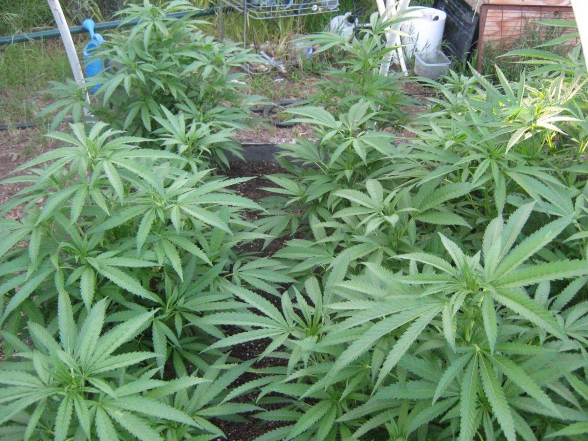 Bubbabed4 29