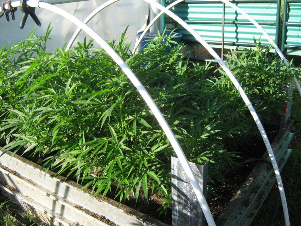 Bubbabed5 1