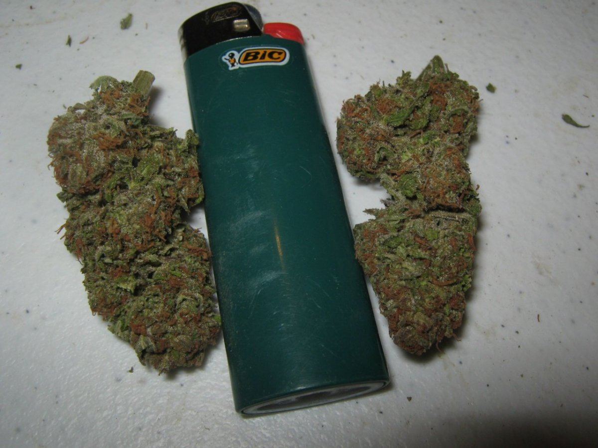 Bubbakushbuds6 24